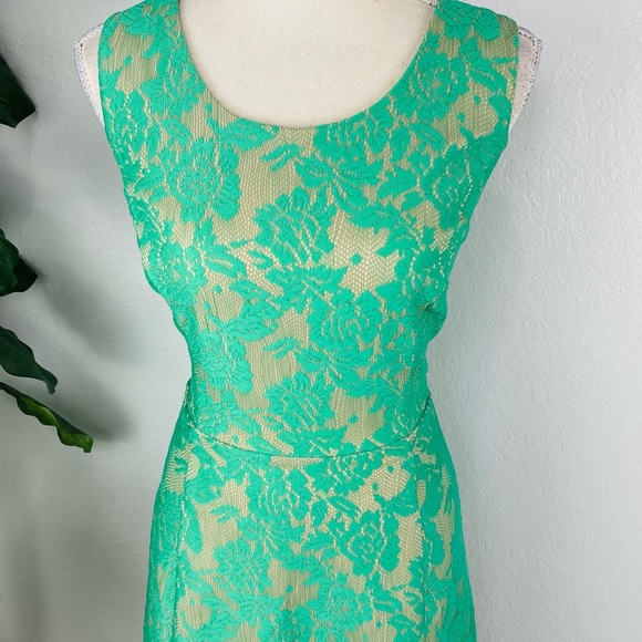 En focus Studio Floral Lace Lined Cream Circle Sleeveless Pastel Green Dress - Picture 5 of 6
